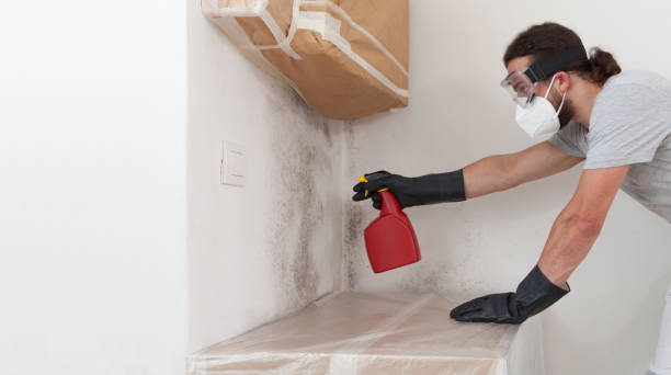 Professional Mold Testing technician working in Babson Park, MA