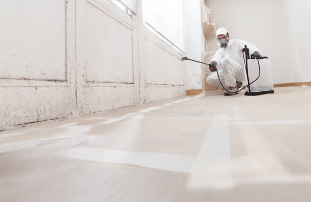 24/7 Emergency Mold Testing experts in Babson Park, MA