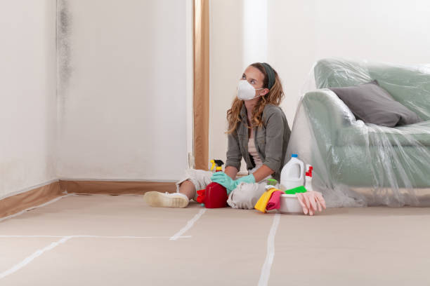 Reliable Mold Testing contractor in Babson Park, MA by WQB Mold Removal